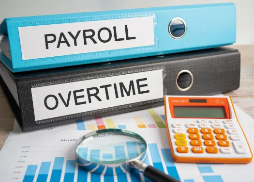wps-compliant_payroll_processing